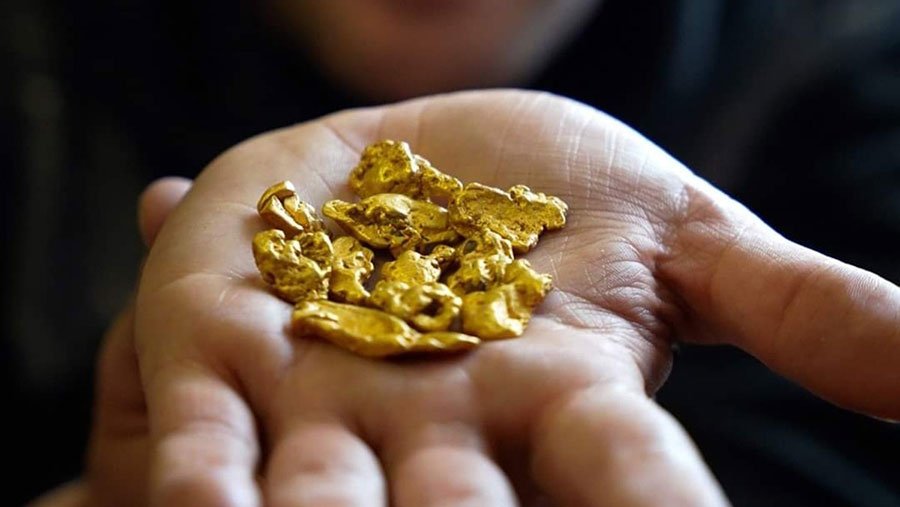 Gold Nuggets